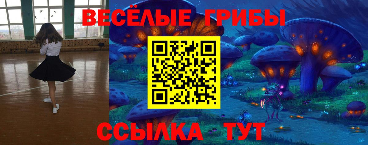 Галлюциногенные грибы MAGIC MUSHROOMS Саранск